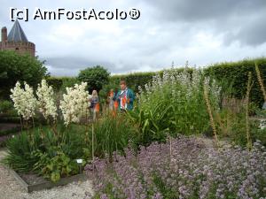 [P06] Grădinile castelului, oază de relaxare » foto by mireille
 - 
<span class="allrVoted glyphicon glyphicon-heart hidden" id="av1143564"></span>
<a class="m-l-10 hidden" id="sv1143564" onclick="voting_Foto_DelVot(,1143564,1639)" role="button">șterge vot <span class="glyphicon glyphicon-remove"></span></a>
<a id="v91143564" class=" c-red"  onclick="voting_Foto_SetVot(1143564)" role="button"><span class="glyphicon glyphicon-heart-empty"></span> <b>LIKE</b> = Votează poza</a> <img class="hidden"  id="f1143564W9" src="/imagini/loader.gif" border="0" /><span class="AjErrMes hidden" id="e1143564ErM"></span>