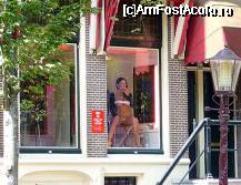 [P02]  -- <small>// FĂRĂ DESCRIERE</small> » foto by danieltanase*
 - 
<span class="allrVoted glyphicon glyphicon-heart hidden" id="av55642"></span>
<a class="m-l-10 hidden" id="sv55642" onclick="voting_Foto_DelVot(,55642,1639)" role="button">șterge vot <span class="glyphicon glyphicon-remove"></span></a>
<a id="v955642" class=" c-red"  onclick="voting_Foto_SetVot(55642)" role="button"><span class="glyphicon glyphicon-heart-empty"></span> <b>LIKE</b> = Votează poza</a> <img class="hidden"  id="f55642W9" src="/imagini/loader.gif" border="0" /><span class="AjErrMes hidden" id="e55642ErM"></span>