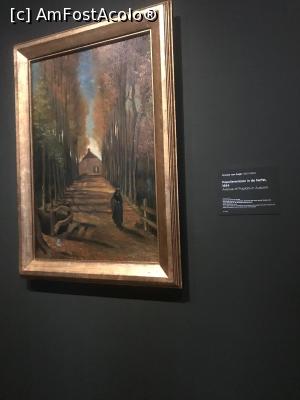 [P19] peisaj de toamna » foto by adrianbogdan
 - 
<span class="allrVoted glyphicon glyphicon-heart hidden" id="av1126627"></span>
<a class="m-l-10 hidden" id="sv1126627" onclick="voting_Foto_DelVot(,1126627,1639)" role="button">șterge vot <span class="glyphicon glyphicon-remove"></span></a>
<a id="v91126627" class=" c-red"  onclick="voting_Foto_SetVot(1126627)" role="button"><span class="glyphicon glyphicon-heart-empty"></span> <b>LIKE</b> = Votează poza</a> <img class="hidden"  id="f1126627W9" src="/imagini/loader.gif" border="0" /><span class="AjErrMes hidden" id="e1126627ErM"></span>