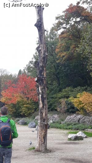 [P46] era prin parc » foto by adrianbogdan
 - 
<span class="allrVoted glyphicon glyphicon-heart hidden" id="av1126654"></span>
<a class="m-l-10 hidden" id="sv1126654" onclick="voting_Foto_DelVot(,1126654,1639)" role="button">șterge vot <span class="glyphicon glyphicon-remove"></span></a>
<a id="v91126654" class=" c-red"  onclick="voting_Foto_SetVot(1126654)" role="button"><span class="glyphicon glyphicon-heart-empty"></span> <b>LIKE</b> = Votează poza</a> <img class="hidden"  id="f1126654W9" src="/imagini/loader.gif" border="0" /><span class="AjErrMes hidden" id="e1126654ErM"></span>
