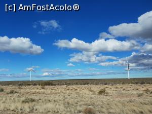 [P05] am purces la drum » foto by robert
 - 
<span class="allrVoted glyphicon glyphicon-heart hidden" id="av1033762"></span>
<a class="m-l-10 hidden" id="sv1033762" onclick="voting_Foto_DelVot(,1033762,1650)" role="button">șterge vot <span class="glyphicon glyphicon-remove"></span></a>
<a id="v91033762" class=" c-red"  onclick="voting_Foto_SetVot(1033762)" role="button"><span class="glyphicon glyphicon-heart-empty"></span> <b>LIKE</b> = Votează poza</a> <img class="hidden"  id="f1033762W9" src="/imagini/loader.gif" border="0" /><span class="AjErrMes hidden" id="e1033762ErM"></span>