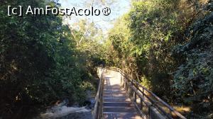 [P44]  -- <small>// FĂRĂ DESCRIERE</small> » foto by elenaadina
 - 
<span class="allrVoted glyphicon glyphicon-heart hidden" id="av1517738"></span>
<a class="m-l-10 hidden" id="sv1517738" onclick="voting_Foto_DelVot(,1517738,1653)" role="button">șterge vot <span class="glyphicon glyphicon-remove"></span></a>
<a id="v91517738" class=" c-red"  onclick="voting_Foto_SetVot(1517738)" role="button"><span class="glyphicon glyphicon-heart-empty"></span> <b>LIKE</b> = Votează poza</a> <img class="hidden"  id="f1517738W9" src="/imagini/loader.gif" border="0" /><span class="AjErrMes hidden" id="e1517738ErM"></span>