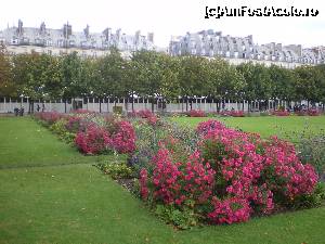 [P13] Jardin des Tuileries » foto by cristianam
 - 
<span class="allrVoted glyphicon glyphicon-heart hidden" id="av355824"></span>
<a class="m-l-10 hidden" id="sv355824" onclick="voting_Foto_DelVot(,355824,1684)" role="button">șterge vot <span class="glyphicon glyphicon-remove"></span></a>
<a id="v9355824" class=" c-red"  onclick="voting_Foto_SetVot(355824)" role="button"><span class="glyphicon glyphicon-heart-empty"></span> <b>LIKE</b> = Votează poza</a> <img class="hidden"  id="f355824W9" src="/imagini/loader.gif" border="0" /><span class="AjErrMes hidden" id="e355824ErM"></span>