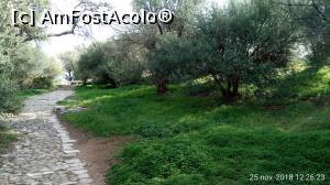 [P40] Spre Monumentul Filopappos, pe colina cu același nume.  » foto by Aurici
 - 
<span class="allrVoted glyphicon glyphicon-heart hidden" id="av1064289"></span>
<a class="m-l-10 hidden" id="sv1064289" onclick="voting_Foto_DelVot(,1064289,1710)" role="button">șterge vot <span class="glyphicon glyphicon-remove"></span></a>
<a id="v91064289" class=" c-red"  onclick="voting_Foto_SetVot(1064289)" role="button"><span class="glyphicon glyphicon-heart-empty"></span> <b>LIKE</b> = Votează poza</a> <img class="hidden"  id="f1064289W9" src="/imagini/loader.gif" border="0" /><span class="AjErrMes hidden" id="e1064289ErM"></span>