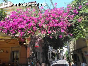 [P53] Cafe Melina și superba bougainvillea - Anafiotika » foto by Carmen Ion
 - 
<span class="allrVoted glyphicon glyphicon-heart hidden" id="av1040956"></span>
<a class="m-l-10 hidden" id="sv1040956" onclick="voting_Foto_DelVot(,1040956,1710)" role="button">șterge vot <span class="glyphicon glyphicon-remove"></span></a>
<a id="v91040956" class=" c-red"  onclick="voting_Foto_SetVot(1040956)" role="button"><span class="glyphicon glyphicon-heart-empty"></span> <b>LIKE</b> = Votează poza</a> <img class="hidden"  id="f1040956W9" src="/imagini/loader.gif" border="0" /><span class="AjErrMes hidden" id="e1040956ErM"></span>