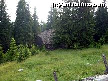 [P13] Si ceva mai rustic... » foto by cristisch2003
 - 
<span class="allrVoted glyphicon glyphicon-heart hidden" id="av257824"></span>
<a class="m-l-10 hidden" id="sv257824" onclick="voting_Foto_DelVot(,257824,1755)" role="button">șterge vot <span class="glyphicon glyphicon-remove"></span></a>
<a id="v9257824" class=" c-red"  onclick="voting_Foto_SetVot(257824)" role="button"><span class="glyphicon glyphicon-heart-empty"></span> <b>LIKE</b> = Votează poza</a> <img class="hidden"  id="f257824W9" src="/imagini/loader.gif" border="0" /><span class="AjErrMes hidden" id="e257824ErM"></span>
