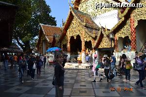 [P20] doi suthep » foto by andreea72
 - 
<span class="allrVoted glyphicon glyphicon-heart hidden" id="av568506"></span>
<a class="m-l-10 hidden" id="sv568506" onclick="voting_Foto_DelVot(,568506,1769)" role="button">șterge vot <span class="glyphicon glyphicon-remove"></span></a>
<a id="v9568506" class=" c-red"  onclick="voting_Foto_SetVot(568506)" role="button"><span class="glyphicon glyphicon-heart-empty"></span> <b>LIKE</b> = Votează poza</a> <img class="hidden"  id="f568506W9" src="/imagini/loader.gif" border="0" /><span class="AjErrMes hidden" id="e568506ErM"></span>