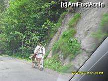 [P41] localnic. » foto by adryana
 - 
<span class="allrVoted glyphicon glyphicon-heart hidden" id="av333942"></span>
<a class="m-l-10 hidden" id="sv333942" onclick="voting_Foto_DelVot(,333942,1782)" role="button">șterge vot <span class="glyphicon glyphicon-remove"></span></a>
<a id="v9333942" class=" c-red"  onclick="voting_Foto_SetVot(333942)" role="button"><span class="glyphicon glyphicon-heart-empty"></span> <b>LIKE</b> = Votează poza</a> <img class="hidden"  id="f333942W9" src="/imagini/loader.gif" border="0" /><span class="AjErrMes hidden" id="e333942ErM"></span>