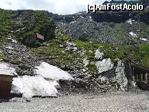 [P05]  -- <small>// FĂRĂ DESCRIERE</small> » foto by Paty
 - 
<span class="allrVoted glyphicon glyphicon-heart hidden" id="av155885"></span>
<a class="m-l-10 hidden" id="sv155885" onclick="voting_Foto_DelVot(,155885,1790)" role="button">șterge vot <span class="glyphicon glyphicon-remove"></span></a>
<a id="v9155885" class=" c-red"  onclick="voting_Foto_SetVot(155885)" role="button"><span class="glyphicon glyphicon-heart-empty"></span> <b>LIKE</b> = Votează poza</a> <img class="hidden"  id="f155885W9" src="/imagini/loader.gif" border="0" /><span class="AjErrMes hidden" id="e155885ErM"></span>