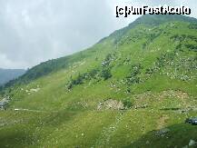 [P07] Traversand muntii Fagaras » foto by Lumis66
 - 
<span class="allrVoted glyphicon glyphicon-heart hidden" id="av180360"></span>
<a class="m-l-10 hidden" id="sv180360" onclick="voting_Foto_DelVot(,180360,1790)" role="button">șterge vot <span class="glyphicon glyphicon-remove"></span></a>
<a id="v9180360" class=" c-red"  onclick="voting_Foto_SetVot(180360)" role="button"><span class="glyphicon glyphicon-heart-empty"></span> <b>LIKE</b> = Votează poza</a> <img class="hidden"  id="f180360W9" src="/imagini/loader.gif" border="0" /><span class="AjErrMes hidden" id="e180360ErM"></span>