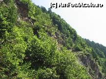 [P10]  -- <small>// FĂRĂ DESCRIERE</small> » foto by dpavel
 - 
<span class="allrVoted glyphicon glyphicon-heart hidden" id="av252231"></span>
<a class="m-l-10 hidden" id="sv252231" onclick="voting_Foto_DelVot(,252231,1790)" role="button">șterge vot <span class="glyphicon glyphicon-remove"></span></a>
<a id="v9252231" class=" c-red"  onclick="voting_Foto_SetVot(252231)" role="button"><span class="glyphicon glyphicon-heart-empty"></span> <b>LIKE</b> = Votează poza</a> <img class="hidden"  id="f252231W9" src="/imagini/loader.gif" border="0" /><span class="AjErrMes hidden" id="e252231ErM"></span>