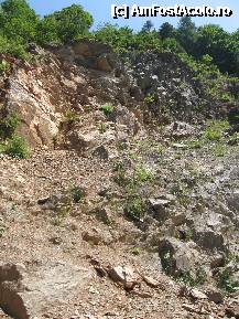 [P11]  -- <small>// FĂRĂ DESCRIERE</small> » foto by dpavel
 - 
<span class="allrVoted glyphicon glyphicon-heart hidden" id="av252232"></span>
<a class="m-l-10 hidden" id="sv252232" onclick="voting_Foto_DelVot(,252232,1790)" role="button">șterge vot <span class="glyphicon glyphicon-remove"></span></a>
<a id="v9252232" class=" c-red"  onclick="voting_Foto_SetVot(252232)" role="button"><span class="glyphicon glyphicon-heart-empty"></span> <b>LIKE</b> = Votează poza</a> <img class="hidden"  id="f252232W9" src="/imagini/loader.gif" border="0" /><span class="AjErrMes hidden" id="e252232ErM"></span>