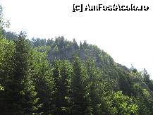 [P14]  -- <small>// FĂRĂ DESCRIERE</small> » foto by dpavel
 - 
<span class="allrVoted glyphicon glyphicon-heart hidden" id="av252235"></span>
<a class="m-l-10 hidden" id="sv252235" onclick="voting_Foto_DelVot(,252235,1790)" role="button">șterge vot <span class="glyphicon glyphicon-remove"></span></a>
<a id="v9252235" class=" c-red"  onclick="voting_Foto_SetVot(252235)" role="button"><span class="glyphicon glyphicon-heart-empty"></span> <b>LIKE</b> = Votează poza</a> <img class="hidden"  id="f252235W9" src="/imagini/loader.gif" border="0" /><span class="AjErrMes hidden" id="e252235ErM"></span>