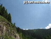 [P26] Transfăgărășan, peisaj » foto by dpavel
 - 
<span class="allrVoted glyphicon glyphicon-heart hidden" id="av252247"></span>
<a class="m-l-10 hidden" id="sv252247" onclick="voting_Foto_DelVot(,252247,1790)" role="button">șterge vot <span class="glyphicon glyphicon-remove"></span></a>
<a id="v9252247" class=" c-red"  onclick="voting_Foto_SetVot(252247)" role="button"><span class="glyphicon glyphicon-heart-empty"></span> <b>LIKE</b> = Votează poza</a> <img class="hidden"  id="f252247W9" src="/imagini/loader.gif" border="0" /><span class="AjErrMes hidden" id="e252247ErM"></span>