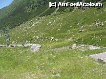 [P36] Transfăgărășan, peisaj...in coloana » foto by dpavel
 - 
<span class="allrVoted glyphicon glyphicon-heart hidden" id="av252257"></span>
<a class="m-l-10 hidden" id="sv252257" onclick="voting_Foto_DelVot(,252257,1790)" role="button">șterge vot <span class="glyphicon glyphicon-remove"></span></a>
<a id="v9252257" class=" c-red"  onclick="voting_Foto_SetVot(252257)" role="button"><span class="glyphicon glyphicon-heart-empty"></span> <b>LIKE</b> = Votează poza</a> <img class="hidden"  id="f252257W9" src="/imagini/loader.gif" border="0" /><span class="AjErrMes hidden" id="e252257ErM"></span>