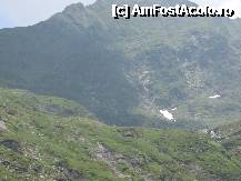 [P43] Transfăgărășan, peisaj » foto by dpavel
 - 
<span class="allrVoted glyphicon glyphicon-heart hidden" id="av252264"></span>
<a class="m-l-10 hidden" id="sv252264" onclick="voting_Foto_DelVot(,252264,1790)" role="button">șterge vot <span class="glyphicon glyphicon-remove"></span></a>
<a id="v9252264" class=" c-red"  onclick="voting_Foto_SetVot(252264)" role="button"><span class="glyphicon glyphicon-heart-empty"></span> <b>LIKE</b> = Votează poza</a> <img class="hidden"  id="f252264W9" src="/imagini/loader.gif" border="0" /><span class="AjErrMes hidden" id="e252264ErM"></span>