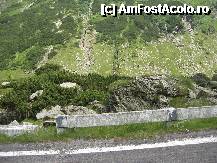 [P47] Transfăgărășan, peisaj » foto by dpavel
 - 
<span class="allrVoted glyphicon glyphicon-heart hidden" id="av252268"></span>
<a class="m-l-10 hidden" id="sv252268" onclick="voting_Foto_DelVot(,252268,1790)" role="button">șterge vot <span class="glyphicon glyphicon-remove"></span></a>
<a id="v9252268" class=" c-red"  onclick="voting_Foto_SetVot(252268)" role="button"><span class="glyphicon glyphicon-heart-empty"></span> <b>LIKE</b> = Votează poza</a> <img class="hidden"  id="f252268W9" src="/imagini/loader.gif" border="0" /><span class="AjErrMes hidden" id="e252268ErM"></span>