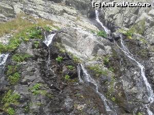 [P06] ... izvoare de munte » foto by danadana*
 - 
<span class="allrVoted glyphicon glyphicon-heart hidden" id="av567974"></span>
<a class="m-l-10 hidden" id="sv567974" onclick="voting_Foto_DelVot(,567974,1790)" role="button">șterge vot <span class="glyphicon glyphicon-remove"></span></a>
<a id="v9567974" class=" c-red"  onclick="voting_Foto_SetVot(567974)" role="button"><span class="glyphicon glyphicon-heart-empty"></span> <b>LIKE</b> = Votează poza</a> <img class="hidden"  id="f567974W9" src="/imagini/loader.gif" border="0" /><span class="AjErrMes hidden" id="e567974ErM"></span>