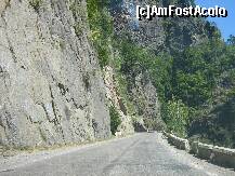 [P02]  -- <small>// FĂRĂ DESCRIERE</small> » foto by mulinita
 - 
<span class="allrVoted glyphicon glyphicon-heart hidden" id="av253340"></span>
<a class="m-l-10 hidden" id="sv253340" onclick="voting_Foto_DelVot(,253340,1790)" role="button">șterge vot <span class="glyphicon glyphicon-remove"></span></a>
<a id="v9253340" class=" c-red"  onclick="voting_Foto_SetVot(253340)" role="button"><span class="glyphicon glyphicon-heart-empty"></span> <b>LIKE</b> = Votează poza</a> <img class="hidden"  id="f253340W9" src="/imagini/loader.gif" border="0" /><span class="AjErrMes hidden" id="e253340ErM"></span>