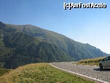 [P07] atentie...la drum » foto by mulinita
 - 
<span class="allrVoted glyphicon glyphicon-heart hidden" id="av253345"></span>
<a class="m-l-10 hidden" id="sv253345" onclick="voting_Foto_DelVot(,253345,1790)" role="button">șterge vot <span class="glyphicon glyphicon-remove"></span></a>
<a id="v9253345" class=" c-red"  onclick="voting_Foto_SetVot(253345)" role="button"><span class="glyphicon glyphicon-heart-empty"></span> <b>LIKE</b> = Votează poza</a> <img class="hidden"  id="f253345W9" src="/imagini/loader.gif" border="0" /><span class="AjErrMes hidden" id="e253345ErM"></span>