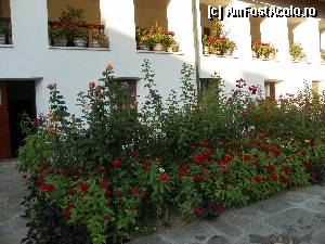 [P66]  -- <small>// FĂRĂ DESCRIERE</small> » foto by sniga
 - 
<span class="allrVoted glyphicon glyphicon-heart hidden" id="av341617"></span>
<a class="m-l-10 hidden" id="sv341617" onclick="voting_Foto_DelVot(,341617,1790)" role="button">șterge vot <span class="glyphicon glyphicon-remove"></span></a>
<a id="v9341617" class=" c-red"  onclick="voting_Foto_SetVot(341617)" role="button"><span class="glyphicon glyphicon-heart-empty"></span> <b>LIKE</b> = Votează poza</a> <img class="hidden"  id="f341617W9" src="/imagini/loader.gif" border="0" /><span class="AjErrMes hidden" id="e341617ErM"></span>