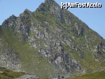 [P12]  -- <small>// FĂRĂ DESCRIERE</small> » foto by Catalin S.
 - 
<span class="allrVoted glyphicon glyphicon-heart hidden" id="av255198"></span>
<a class="m-l-10 hidden" id="sv255198" onclick="voting_Foto_DelVot(,255198,1790)" role="button">șterge vot <span class="glyphicon glyphicon-remove"></span></a>
<a id="v9255198" class=" c-red"  onclick="voting_Foto_SetVot(255198)" role="button"><span class="glyphicon glyphicon-heart-empty"></span> <b>LIKE</b> = Votează poza</a> <img class="hidden"  id="f255198W9" src="/imagini/loader.gif" border="0" /><span class="AjErrMes hidden" id="e255198ErM"></span>