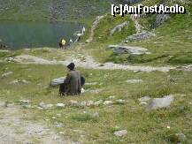 [P16]  -- <small>// FĂRĂ DESCRIERE</small> » foto by Catalin S.
 - 
<span class="allrVoted glyphicon glyphicon-heart hidden" id="av255202"></span>
<a class="m-l-10 hidden" id="sv255202" onclick="voting_Foto_DelVot(,255202,1790)" role="button">șterge vot <span class="glyphicon glyphicon-remove"></span></a>
<a id="v9255202" class=" c-red"  onclick="voting_Foto_SetVot(255202)" role="button"><span class="glyphicon glyphicon-heart-empty"></span> <b>LIKE</b> = Votează poza</a> <img class="hidden"  id="f255202W9" src="/imagini/loader.gif" border="0" /><span class="AjErrMes hidden" id="e255202ErM"></span>