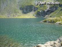 [P19]  -- <small>// FĂRĂ DESCRIERE</small> » foto by Catalin S.
 - 
<span class="allrVoted glyphicon glyphicon-heart hidden" id="av255206"></span>
<a class="m-l-10 hidden" id="sv255206" onclick="voting_Foto_DelVot(,255206,1790)" role="button">șterge vot <span class="glyphicon glyphicon-remove"></span></a>
<a id="v9255206" class=" c-red"  onclick="voting_Foto_SetVot(255206)" role="button"><span class="glyphicon glyphicon-heart-empty"></span> <b>LIKE</b> = Votează poza</a> <img class="hidden"  id="f255206W9" src="/imagini/loader.gif" border="0" /><span class="AjErrMes hidden" id="e255206ErM"></span>