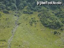 [P02]  -- <small>// FĂRĂ DESCRIERE</small> » foto by Catalin S.
 - 
<span class="allrVoted glyphicon glyphicon-heart hidden" id="av255186"></span>
<a class="m-l-10 hidden" id="sv255186" onclick="voting_Foto_DelVot(,255186,1790)" role="button">șterge vot <span class="glyphicon glyphicon-remove"></span></a>
<a id="v9255186" class=" c-red"  onclick="voting_Foto_SetVot(255186)" role="button"><span class="glyphicon glyphicon-heart-empty"></span> <b>LIKE</b> = Votează poza</a> <img class="hidden"  id="f255186W9" src="/imagini/loader.gif" border="0" /><span class="AjErrMes hidden" id="e255186ErM"></span>