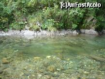 [P20]  -- <small>// FĂRĂ DESCRIERE</small> » foto by Catalin S.
 - 
<span class="allrVoted glyphicon glyphicon-heart hidden" id="av255207"></span>
<a class="m-l-10 hidden" id="sv255207" onclick="voting_Foto_DelVot(,255207,1790)" role="button">șterge vot <span class="glyphicon glyphicon-remove"></span></a>
<a id="v9255207" class=" c-red"  onclick="voting_Foto_SetVot(255207)" role="button"><span class="glyphicon glyphicon-heart-empty"></span> <b>LIKE</b> = Votează poza</a> <img class="hidden"  id="f255207W9" src="/imagini/loader.gif" border="0" /><span class="AjErrMes hidden" id="e255207ErM"></span>