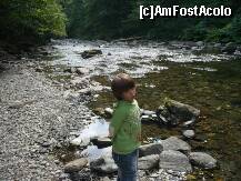 [P23]  -- <small>// FĂRĂ DESCRIERE</small> » foto by Catalin S.
 - 
<span class="allrVoted glyphicon glyphicon-heart hidden" id="av255210"></span>
<a class="m-l-10 hidden" id="sv255210" onclick="voting_Foto_DelVot(,255210,1790)" role="button">șterge vot <span class="glyphicon glyphicon-remove"></span></a>
<a id="v9255210" class=" c-red"  onclick="voting_Foto_SetVot(255210)" role="button"><span class="glyphicon glyphicon-heart-empty"></span> <b>LIKE</b> = Votează poza</a> <img class="hidden"  id="f255210W9" src="/imagini/loader.gif" border="0" /><span class="AjErrMes hidden" id="e255210ErM"></span>