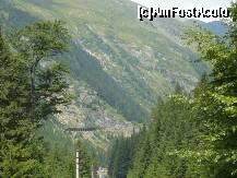 [P04]  -- <small>// FĂRĂ DESCRIERE</small> » foto by Catalin S.
 - 
<span class="allrVoted glyphicon glyphicon-heart hidden" id="av255188"></span>
<a class="m-l-10 hidden" id="sv255188" onclick="voting_Foto_DelVot(,255188,1790)" role="button">șterge vot <span class="glyphicon glyphicon-remove"></span></a>
<a id="v9255188" class=" c-red"  onclick="voting_Foto_SetVot(255188)" role="button"><span class="glyphicon glyphicon-heart-empty"></span> <b>LIKE</b> = Votează poza</a> <img class="hidden"  id="f255188W9" src="/imagini/loader.gif" border="0" /><span class="AjErrMes hidden" id="e255188ErM"></span>