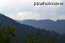 [P05]  -- <small>// FĂRĂ DESCRIERE</small> » foto by gvaly
 - 
<span class="allrVoted glyphicon glyphicon-heart hidden" id="av459791"></span>
<a class="m-l-10 hidden" id="sv459791" onclick="voting_Foto_DelVot(,459791,1790)" role="button">șterge vot <span class="glyphicon glyphicon-remove"></span></a>
<a id="v9459791" class=" c-red"  onclick="voting_Foto_SetVot(459791)" role="button"><span class="glyphicon glyphicon-heart-empty"></span> <b>LIKE</b> = Votează poza</a> <img class="hidden"  id="f459791W9" src="/imagini/loader.gif" border="0" /><span class="AjErrMes hidden" id="e459791ErM"></span>