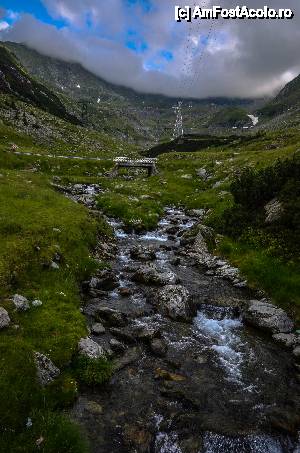 [P11] acelasi parau din alt unghi » foto by Muffin2009*
 - 
<span class="allrVoted glyphicon glyphicon-heart hidden" id="av439480"></span>
<a class="m-l-10 hidden" id="sv439480" onclick="voting_Foto_DelVot(,439480,1790)" role="button">șterge vot <span class="glyphicon glyphicon-remove"></span></a>
<a id="v9439480" class=" c-red"  onclick="voting_Foto_SetVot(439480)" role="button"><span class="glyphicon glyphicon-heart-empty"></span> <b>LIKE</b> = Votează poza</a> <img class="hidden"  id="f439480W9" src="/imagini/loader.gif" border="0" /><span class="AjErrMes hidden" id="e439480ErM"></span>