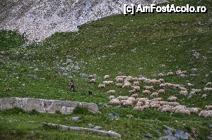 [P23] acelasi peisaj neschimbat de la Miorita pana in zilele noastre!  » foto by Muffin2009*
 - 
<span class="allrVoted glyphicon glyphicon-heart hidden" id="av439497"></span>
<a class="m-l-10 hidden" id="sv439497" onclick="voting_Foto_DelVot(,439497,1790)" role="button">șterge vot <span class="glyphicon glyphicon-remove"></span></a>
<a id="v9439497" class=" c-red"  onclick="voting_Foto_SetVot(439497)" role="button"><span class="glyphicon glyphicon-heart-empty"></span> <b>LIKE</b> = Votează poza</a> <img class="hidden"  id="f439497W9" src="/imagini/loader.gif" border="0" /><span class="AjErrMes hidden" id="e439497ErM"></span>