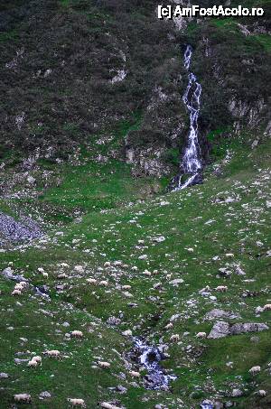 [P24] o alta cascada superba » foto by Muffin2009*
 - 
<span class="allrVoted glyphicon glyphicon-heart hidden" id="av439498"></span>
<a class="m-l-10 hidden" id="sv439498" onclick="voting_Foto_DelVot(,439498,1790)" role="button">șterge vot <span class="glyphicon glyphicon-remove"></span></a>
<a id="v9439498" class=" c-red"  onclick="voting_Foto_SetVot(439498)" role="button"><span class="glyphicon glyphicon-heart-empty"></span> <b>LIKE</b> = Votează poza</a> <img class="hidden"  id="f439498W9" src="/imagini/loader.gif" border="0" /><span class="AjErrMes hidden" id="e439498ErM"></span>