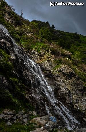 [P07] una din multele cascade intalnite pe drum » foto by Muffin2009*
 - 
<span class="allrVoted glyphicon glyphicon-heart hidden" id="av439463"></span>
<a class="m-l-10 hidden" id="sv439463" onclick="voting_Foto_DelVot(,439463,1790)" role="button">șterge vot <span class="glyphicon glyphicon-remove"></span></a>
<a id="v9439463" class=" c-red"  onclick="voting_Foto_SetVot(439463)" role="button"><span class="glyphicon glyphicon-heart-empty"></span> <b>LIKE</b> = Votează poza</a> <img class="hidden"  id="f439463W9" src="/imagini/loader.gif" border="0" /><span class="AjErrMes hidden" id="e439463ErM"></span>