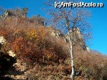 [P05] Stanci golase si frunze uscate (galben-rosu) » foto by mcosmin
 - 
<span class="allrVoted glyphicon glyphicon-heart hidden" id="av36468"></span>
<a class="m-l-10 hidden" id="sv36468" onclick="voting_Foto_DelVot(,36468,1790)" role="button">șterge vot <span class="glyphicon glyphicon-remove"></span></a>
<a id="v936468" class=" c-red"  onclick="voting_Foto_SetVot(36468)" role="button"><span class="glyphicon glyphicon-heart-empty"></span> <b>LIKE</b> = Votează poza</a> <img class="hidden"  id="f36468W9" src="/imagini/loader.gif" border="0" /><span class="AjErrMes hidden" id="e36468ErM"></span>