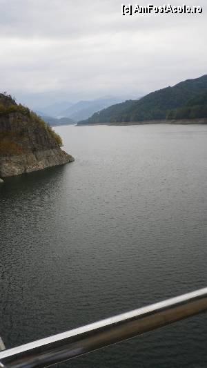 [P04]  -- <small>// FĂRĂ DESCRIERE</small> » foto by roxana.tomina
 - 
<span class="allrVoted glyphicon glyphicon-heart hidden" id="av360045"></span>
<a class="m-l-10 hidden" id="sv360045" onclick="voting_Foto_DelVot(,360045,1790)" role="button">șterge vot <span class="glyphicon glyphicon-remove"></span></a>
<a id="v9360045" class=" c-red"  onclick="voting_Foto_SetVot(360045)" role="button"><span class="glyphicon glyphicon-heart-empty"></span> <b>LIKE</b> = Votează poza</a> <img class="hidden"  id="f360045W9" src="/imagini/loader.gif" border="0" /><span class="AjErrMes hidden" id="e360045ErM"></span>