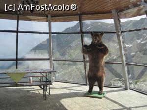 [P34] Muntii Fagaras, punctul de belvedere cu ursul impaiat, 5 iunie 2016 » foto by Dana2008
 - 
<span class="allrVoted glyphicon glyphicon-heart hidden" id="av754570"></span>
<a class="m-l-10 hidden" id="sv754570" onclick="voting_Foto_DelVot(,754570,1790)" role="button">șterge vot <span class="glyphicon glyphicon-remove"></span></a>
<a id="v9754570" class=" c-red"  onclick="voting_Foto_SetVot(754570)" role="button"><span class="glyphicon glyphicon-heart-empty"></span> <b>LIKE</b> = Votează poza</a> <img class="hidden"  id="f754570W9" src="/imagini/loader.gif" border="0" /><span class="AjErrMes hidden" id="e754570ErM"></span>