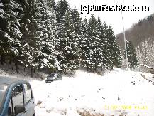 [P26] Transfagarasan-peisaj superb iarna » foto by raduu1972
 - 
<span class="allrVoted glyphicon glyphicon-heart hidden" id="av149931"></span>
<a class="m-l-10 hidden" id="sv149931" onclick="voting_Foto_DelVot(,149931,1790)" role="button">șterge vot <span class="glyphicon glyphicon-remove"></span></a>
<a id="v9149931" class=" c-red"  onclick="voting_Foto_SetVot(149931)" role="button"><span class="glyphicon glyphicon-heart-empty"></span> <b>LIKE</b> = Votează poza</a> <img class="hidden"  id="f149931W9" src="/imagini/loader.gif" border="0" /><span class="AjErrMes hidden" id="e149931ErM"></span>