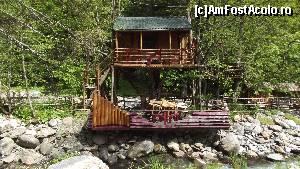 [P02] Căsuță în copac în zona Piscu-Negru » foto by floracol
 - 
<span class="allrVoted glyphicon glyphicon-heart hidden" id="av515288"></span>
<a class="m-l-10 hidden" id="sv515288" onclick="voting_Foto_DelVot(,515288,1790)" role="button">șterge vot <span class="glyphicon glyphicon-remove"></span></a>
<a id="v9515288" class=" c-red"  onclick="voting_Foto_SetVot(515288)" role="button"><span class="glyphicon glyphicon-heart-empty"></span> <b>LIKE</b> = Votează poza</a> <img class="hidden"  id="f515288W9" src="/imagini/loader.gif" border="0" /><span class="AjErrMes hidden" id="e515288ErM"></span>