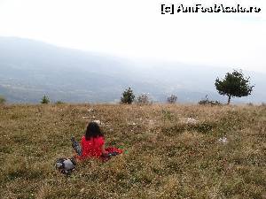 [P13] O pauza binemeritata » foto by wolf2001*
 - 
<span class="allrVoted glyphicon glyphicon-heart hidden" id="av581916"></span>
<a class="m-l-10 hidden" id="sv581916" onclick="voting_Foto_DelVot(,581916,1790)" role="button">șterge vot <span class="glyphicon glyphicon-remove"></span></a>
<a id="v9581916" class=" c-red"  onclick="voting_Foto_SetVot(581916)" role="button"><span class="glyphicon glyphicon-heart-empty"></span> <b>LIKE</b> = Votează poza</a> <img class="hidden"  id="f581916W9" src="/imagini/loader.gif" border="0" /><span class="AjErrMes hidden" id="e581916ErM"></span>