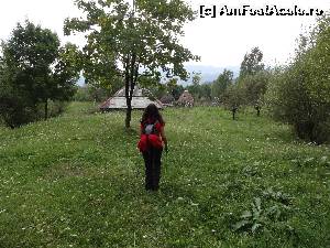 [P19]  -- <small>// FĂRĂ DESCRIERE</small> » foto by wolf2001*
 - 
<span class="allrVoted glyphicon glyphicon-heart hidden" id="av581922"></span>
<a class="m-l-10 hidden" id="sv581922" onclick="voting_Foto_DelVot(,581922,1790)" role="button">șterge vot <span class="glyphicon glyphicon-remove"></span></a>
<a id="v9581922" class=" c-red"  onclick="voting_Foto_SetVot(581922)" role="button"><span class="glyphicon glyphicon-heart-empty"></span> <b>LIKE</b> = Votează poza</a> <img class="hidden"  id="f581922W9" src="/imagini/loader.gif" border="0" /><span class="AjErrMes hidden" id="e581922ErM"></span>