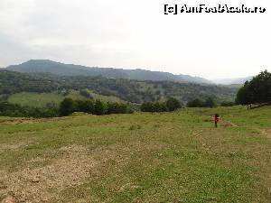 [P20]  -- <small>// FĂRĂ DESCRIERE</small> » foto by wolf2001*
 - 
<span class="allrVoted glyphicon glyphicon-heart hidden" id="av581923"></span>
<a class="m-l-10 hidden" id="sv581923" onclick="voting_Foto_DelVot(,581923,1790)" role="button">șterge vot <span class="glyphicon glyphicon-remove"></span></a>
<a id="v9581923" class=" c-red"  onclick="voting_Foto_SetVot(581923)" role="button"><span class="glyphicon glyphicon-heart-empty"></span> <b>LIKE</b> = Votează poza</a> <img class="hidden"  id="f581923W9" src="/imagini/loader.gif" border="0" /><span class="AjErrMes hidden" id="e581923ErM"></span>