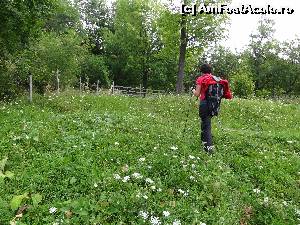 [P03] Prin pasuni tot mai sus... » foto by wolf2001*
 - 
<span class="allrVoted glyphicon glyphicon-heart hidden" id="av581905"></span>
<a class="m-l-10 hidden" id="sv581905" onclick="voting_Foto_DelVot(,581905,1790)" role="button">șterge vot <span class="glyphicon glyphicon-remove"></span></a>
<a id="v9581905" class=" c-red"  onclick="voting_Foto_SetVot(581905)" role="button"><span class="glyphicon glyphicon-heart-empty"></span> <b>LIKE</b> = Votează poza</a> <img class="hidden"  id="f581905W9" src="/imagini/loader.gif" border="0" /><span class="AjErrMes hidden" id="e581905ErM"></span>