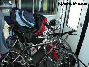 [P01]  -- <small>// FĂRĂ DESCRIERE</small> » foto by wolf2001*
 - 
<span class="allrVoted glyphicon glyphicon-heart hidden" id="av588801"></span>
<a class="m-l-10 hidden" id="sv588801" onclick="voting_Foto_DelVot(,588801,1790)" role="button">șterge vot <span class="glyphicon glyphicon-remove"></span></a>
<a id="v9588801" class=" c-red"  onclick="voting_Foto_SetVot(588801)" role="button"><span class="glyphicon glyphicon-heart-empty"></span> <b>LIKE</b> = Votează poza</a> <img class="hidden"  id="f588801W9" src="/imagini/loader.gif" border="0" /><span class="AjErrMes hidden" id="e588801ErM"></span>