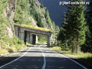 [P10]  -- <small>// FĂRĂ DESCRIERE</small> » foto by wolf2001*
 - 
<span class="allrVoted glyphicon glyphicon-heart hidden" id="av588810"></span>
<a class="m-l-10 hidden" id="sv588810" onclick="voting_Foto_DelVot(,588810,1790)" role="button">șterge vot <span class="glyphicon glyphicon-remove"></span></a>
<a id="v9588810" class=" c-red"  onclick="voting_Foto_SetVot(588810)" role="button"><span class="glyphicon glyphicon-heart-empty"></span> <b>LIKE</b> = Votează poza</a> <img class="hidden"  id="f588810W9" src="/imagini/loader.gif" border="0" /><span class="AjErrMes hidden" id="e588810ErM"></span>