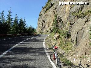 [P12]  -- <small>// FĂRĂ DESCRIERE</small> » foto by wolf2001*
 - 
<span class="allrVoted glyphicon glyphicon-heart hidden" id="av588812"></span>
<a class="m-l-10 hidden" id="sv588812" onclick="voting_Foto_DelVot(,588812,1790)" role="button">șterge vot <span class="glyphicon glyphicon-remove"></span></a>
<a id="v9588812" class=" c-red"  onclick="voting_Foto_SetVot(588812)" role="button"><span class="glyphicon glyphicon-heart-empty"></span> <b>LIKE</b> = Votează poza</a> <img class="hidden"  id="f588812W9" src="/imagini/loader.gif" border="0" /><span class="AjErrMes hidden" id="e588812ErM"></span>