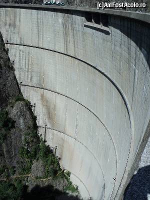 [P36]  -- <small>// FĂRĂ DESCRIERE</small> » foto by wolf2001*
 - 
<span class="allrVoted glyphicon glyphicon-heart hidden" id="av588836"></span>
<a class="m-l-10 hidden" id="sv588836" onclick="voting_Foto_DelVot(,588836,1790)" role="button">șterge vot <span class="glyphicon glyphicon-remove"></span></a>
<a id="v9588836" class=" c-red"  onclick="voting_Foto_SetVot(588836)" role="button"><span class="glyphicon glyphicon-heart-empty"></span> <b>LIKE</b> = Votează poza</a> <img class="hidden"  id="f588836W9" src="/imagini/loader.gif" border="0" /><span class="AjErrMes hidden" id="e588836ErM"></span>